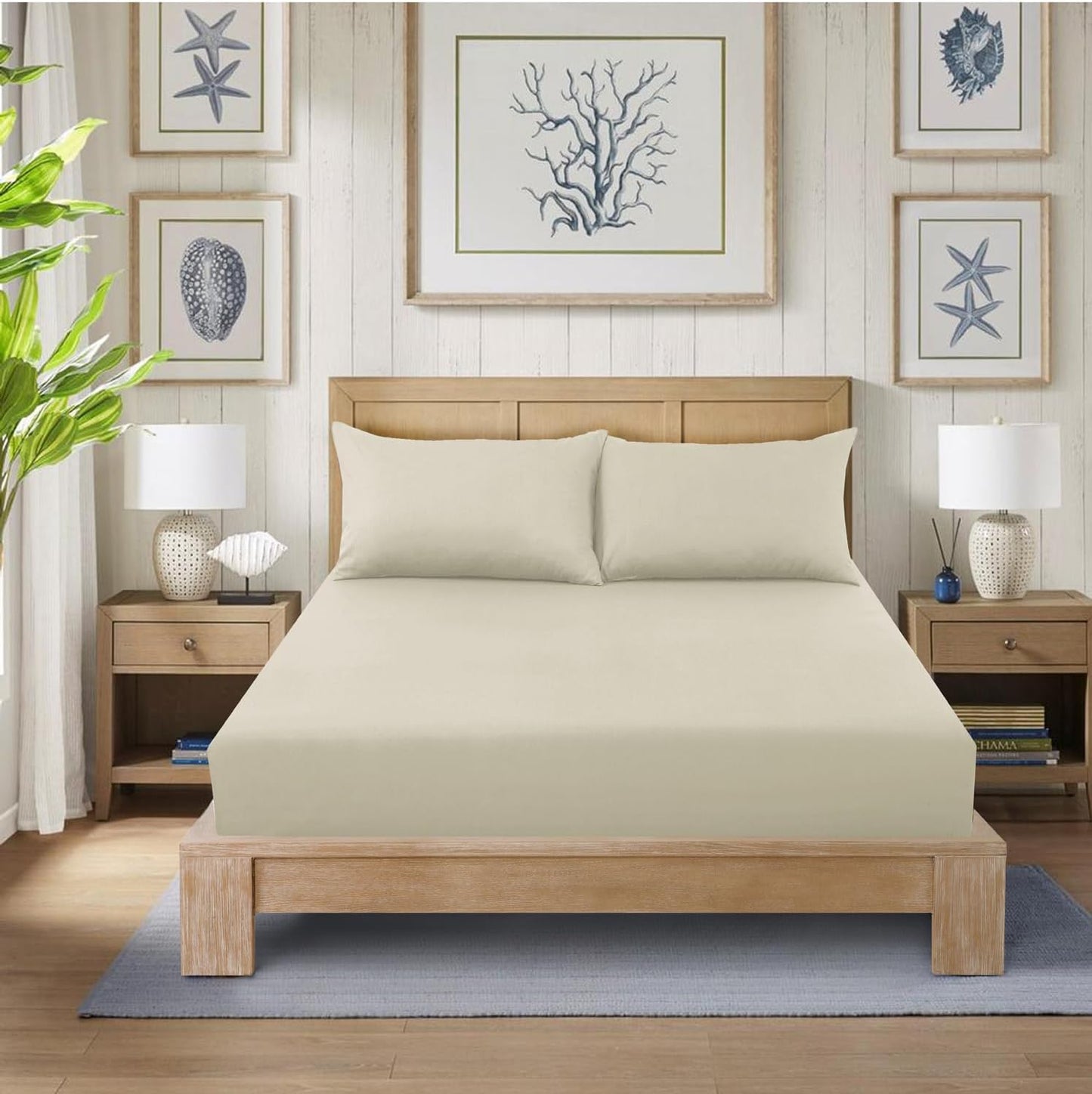Fitted Bed Sheet Poly Cotton Percale Easy Care Plain Dyed Bed Sheet