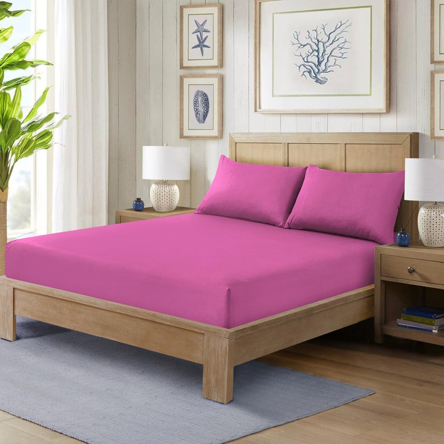 Fitted Bed Sheet Poly Cotton Percale Easy Care Plain Dyed Bed Sheet