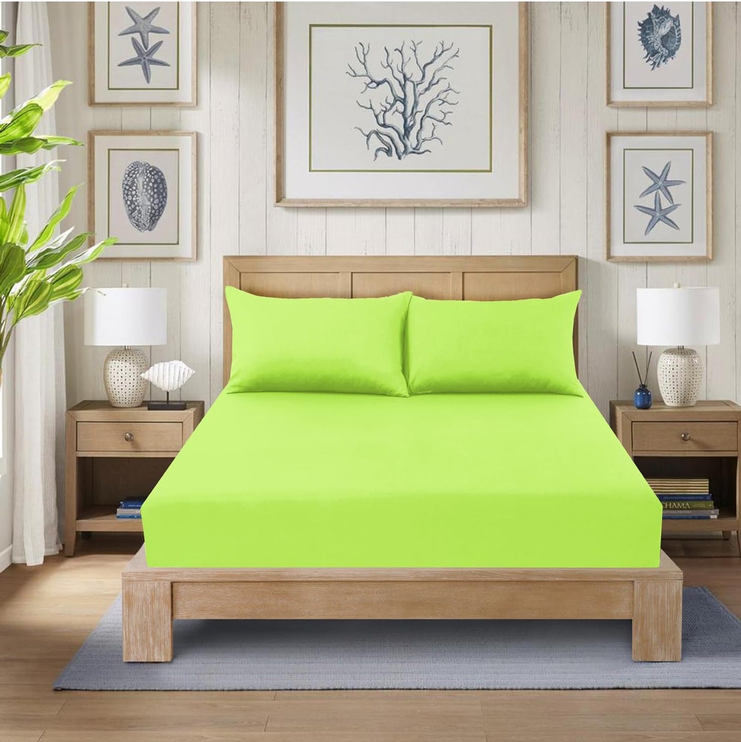 Fitted Bed Sheet Poly Cotton Percale Easy Care Plain Dyed Bed Sheet