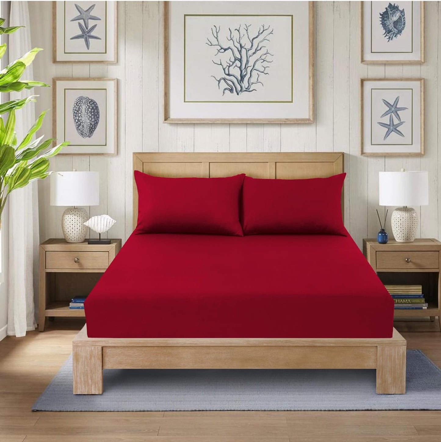Fitted Bed Sheet Poly Cotton Percale Easy Care Plain Dyed Bed Sheet