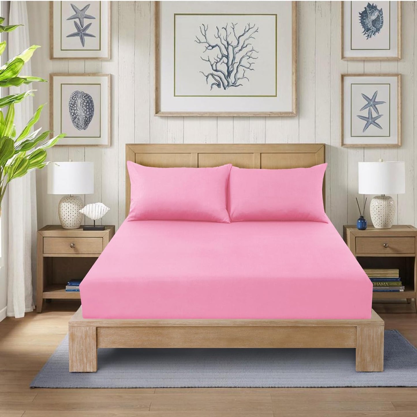 Fitted Bed Sheet Poly Cotton Percale Easy Care Plain Dyed Bed Sheet